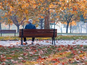 Older man sits alone on park bench surrounded by autumn leaves